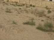 Satılır 12 sot torpaq Şüvəlan