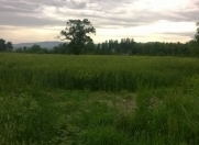 Satılır 10 sot torpaq Quba