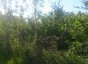 Satılır 10 sot torpaq Xaçmaz