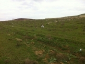 Satılır 30 sot torpaq Binə