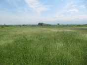 Satılır 100 sot torpaq Quba