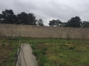 Satılır 5 sot torpaq Binə