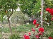 Satılır 8 otaqlı 200 m2 yeni tikili Aygun City