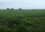 Satılır 91 sot torpaq Samux