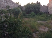 Satılır 2 sot torpaq Şüvəlan