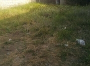 Satılır 2 sot torpaq Çiçək