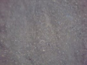 Satılır 2 sot torpaq Respublika stadionu