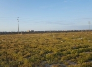 Satılır 8 sot torpaq Binə