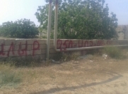 Satılır 24 sot torpaq Pirşağı