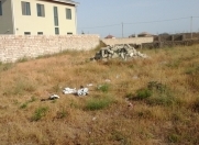 Satılır 4 sot torpaq Zabrat 1