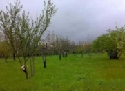 Satılır 3 sot torpaq Zığ