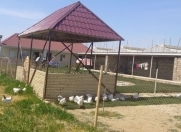 Satılır 150 sot torpaq Zirə