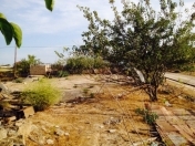 Satılır 7.5 sot torpaq Pirşağı