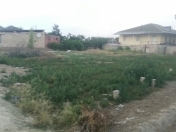 Satılır 5 sot torpaq Saray