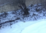 Satılır 12 sot torpaq İsmayıllı