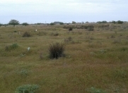 Satılır 6 sot torpaq Kürdəxanı