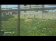 Satılır 4 sot torpaq Botanika bağı