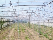 Satılır 6 otaqlı 5200 m2 obyekt Ramana