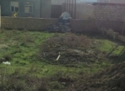 Satılır 2.5 sot torpaq Masazır