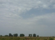 Satılır 1000 sot torpaq Şirvan