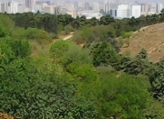 Satılır 3 otaqlı 70 m2 köhnə tikili Botanika bağı