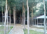 Satılır 5 otaqlı 20000 m2 obyekt Şəki