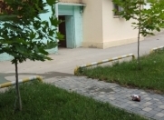 Satılır 2 otaqlı 50 m2 köhnə tikili Biləcəri