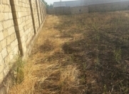 Satılır 20 sot torpaq Saray