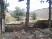 Satılır 3 sot torpaq Ramana