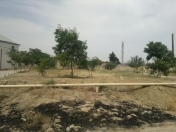 Satılır 26 sot torpaq Qaraçuxur