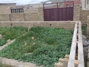 Satılır 10 sot torpaq Görədil