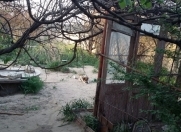 Satılır 1 otaqlı 8000 m2 bağ evi Buzovna