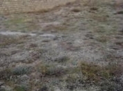 Satılır 4 sot torpaq Qaraçuxur