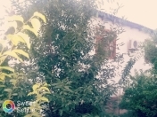 Satılır 3 otaqlı 120 m2 bağ evi Şirvan