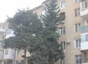 İcarəyə verilir 3 otaqlı 60 m2 köhnə tikili Nəriman Nərimanov m.