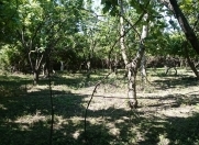 Satılır 1600 sot torpaq Mingəçevir