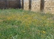 Satılır 2 otaqlı 900 m2 bağ evi Kürdəxanı