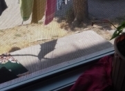 Satılır 1 otaqlı 20 m2 köhnə tikili Keşlə