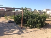 Satılır 24 sot torpaq Şüvəlan