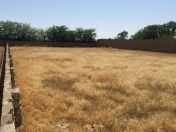 Satılır 30 sot torpaq Pirşağı