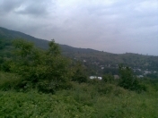 Satılır 3 sot torpaq Şamaxı