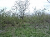 Satılır 4 sot torpaq 6 mkr