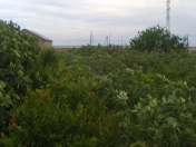 Satılır 6 sot torpaq Kürdəxanı