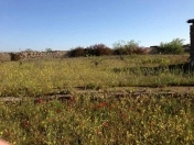 Satılır 29 sot torpaq Xaşaxuna