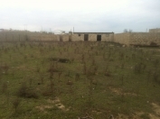 Satılır 10 sot torpaq Dübəndi bağları