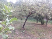 Satılır 5 sot torpaq İsmayıllı