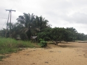 Satılır 1000 sot torpaq Ağ şəhər