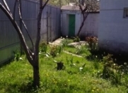 Satılır 5 otaqlı 130 m2 həyət evi Qəbələ