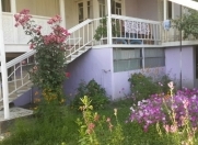 İcarəyə verilir 4 otaqlı 200 m2 həyət evi Qax