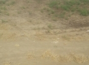 Satılır 110 sot torpaq Mehdiabad